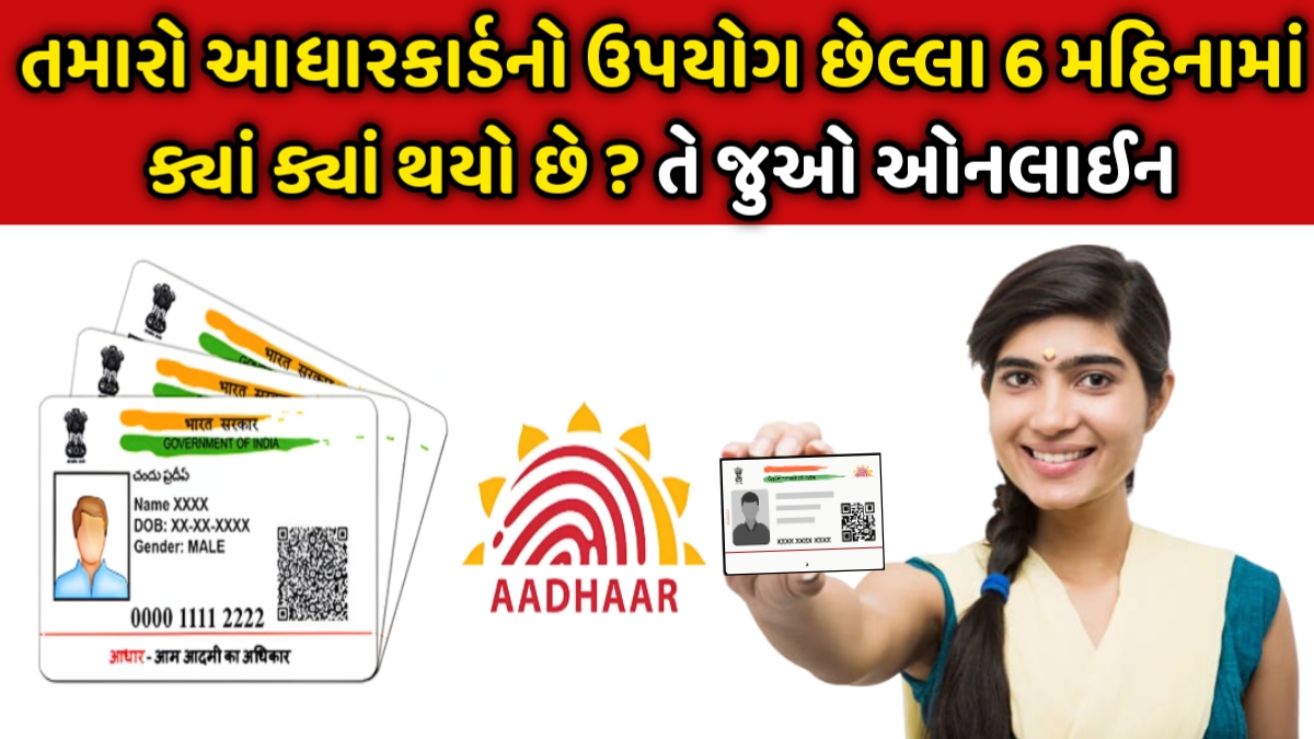 Aadhar Authentication History